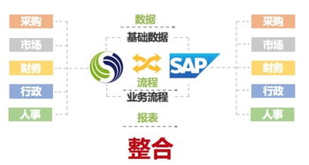 SAP與致遠互聯強強聯手，以技術融合驅動全球企業組織管理升級