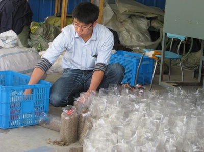 上海技術推廣 構建產(chǎn)業(yè)服務新高地